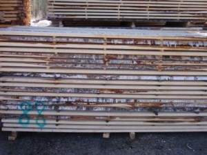 unedged birch sawn timber